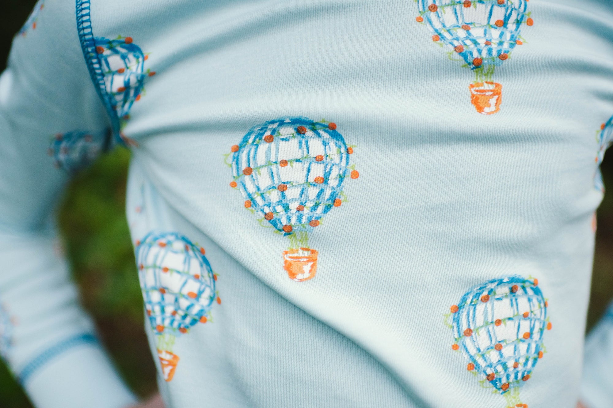 Heyward House Hot Air Balloon Detail Shot