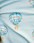 Heyward House Hot Air Balloon Detail Shot